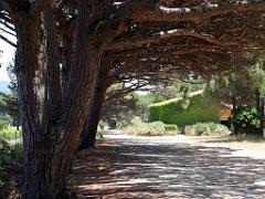 183 ILE DE PORQUEROLLES -3_000012